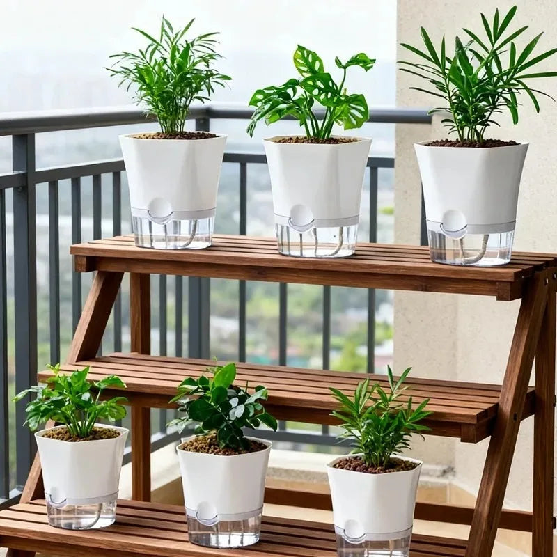 VasoClear com planta interior